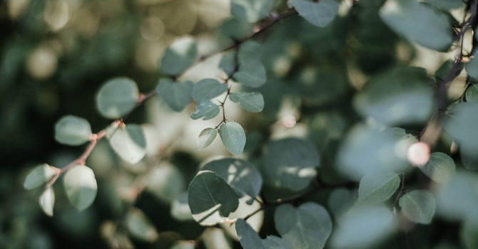 Women's Pelvic Health